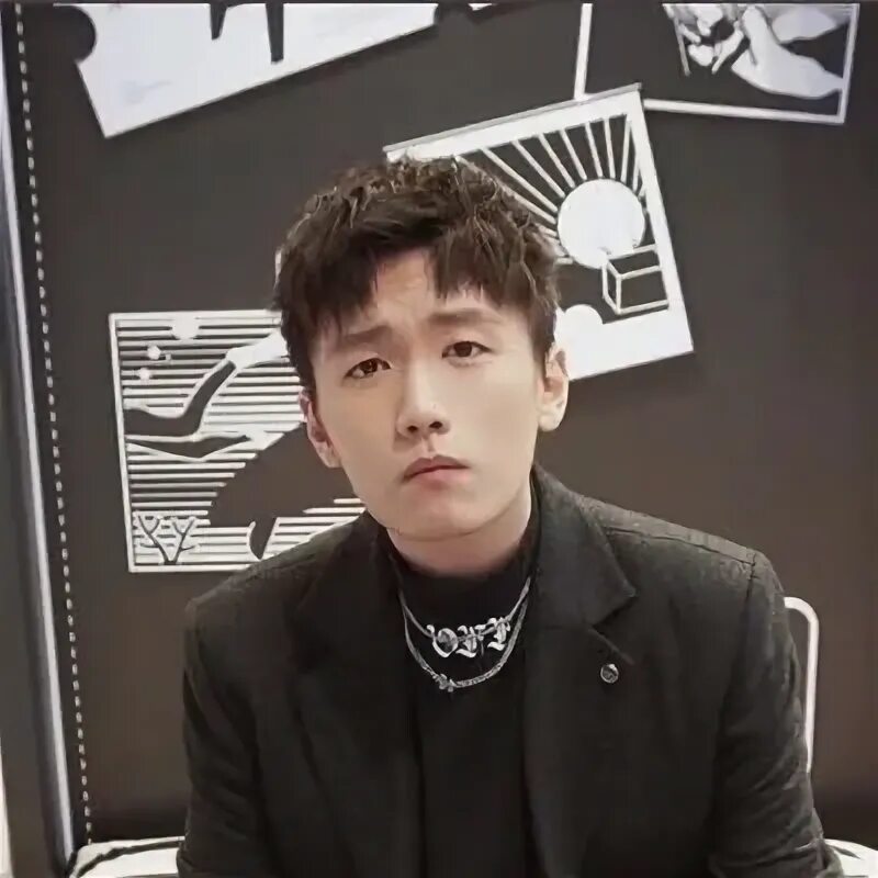 Zhang l f. Zhang l f