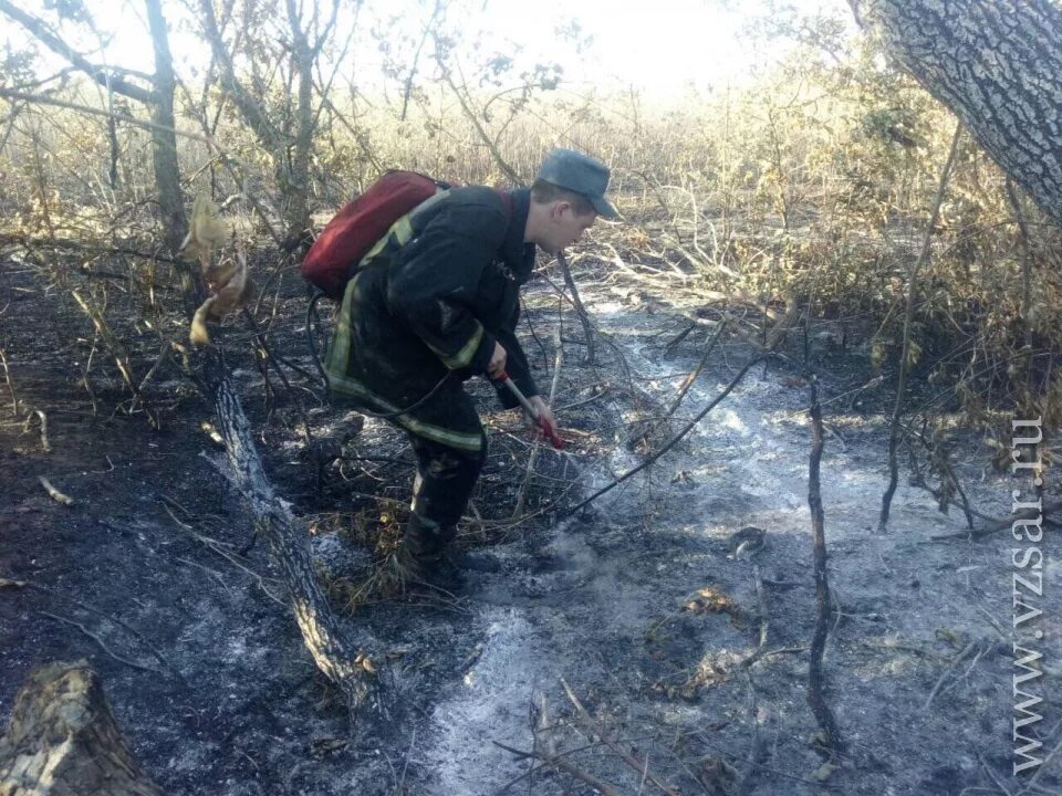 Погода атаевка. Атаевка. Погода атаевка. Деревня атаевка. Село атаевка.