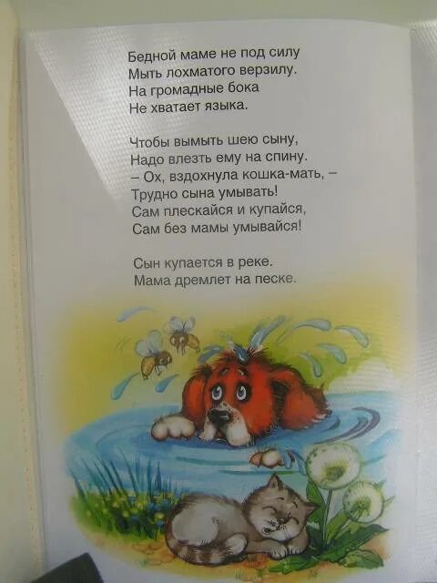 Сын купается в реке мама дремлет