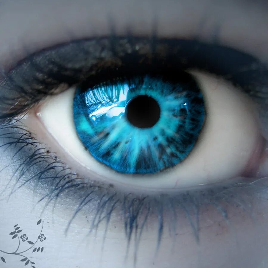My eyes are blue