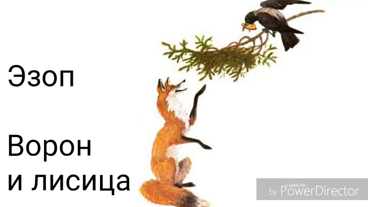 С вороны глаз не сводит. Басня Крылова ворона и лисица. Басня Эзопа ворона и лисица. Ворона и лисица иллюстрация. Ворона и лиса рисунок.