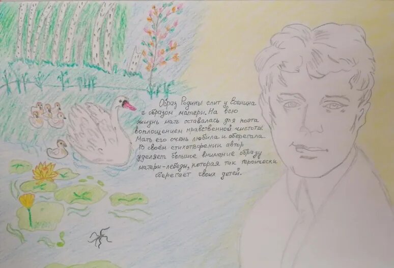 Иллюстрации к стихам Есенина. Рисунок к стихотворению Есенина. Рисунок к стихотворению Есенина черемуха.