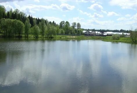 Подосинки московская область дмитровский
