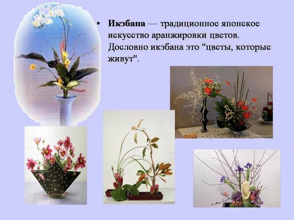 ЭКИБАНА - презентация