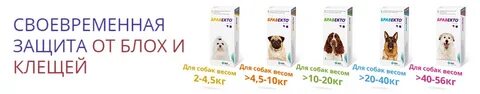 Можно ли делить бравекто