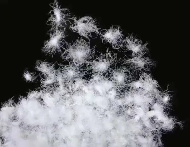 Натуральный пух. Пух и перья. Пух. Лебяжий пух натуральный. Гусиный пух.