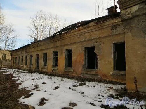 Улица политрука пасечника санкт петербург. Политрука пасечника 3к1. Улица политрука пасечника 1 к1. Улица политрука пасечника санкт петербург. Улица политрука пасечника санкт петербург.