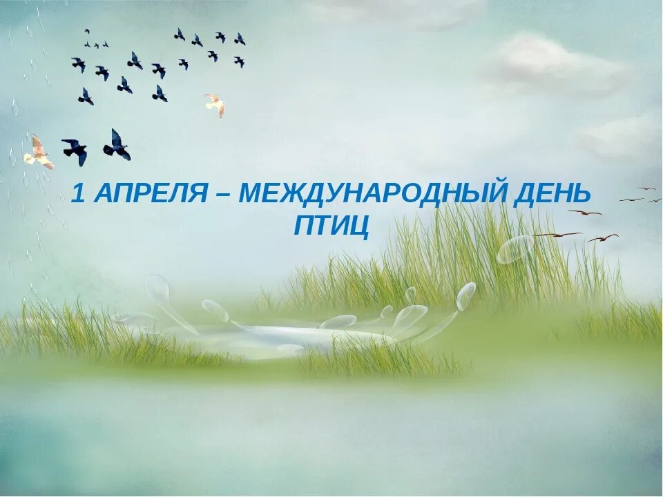 1 апреля всемирный день птиц. День птиц. Всемирный день птиц. 1 Апреля день птиц. Надпись Международный день птиц.