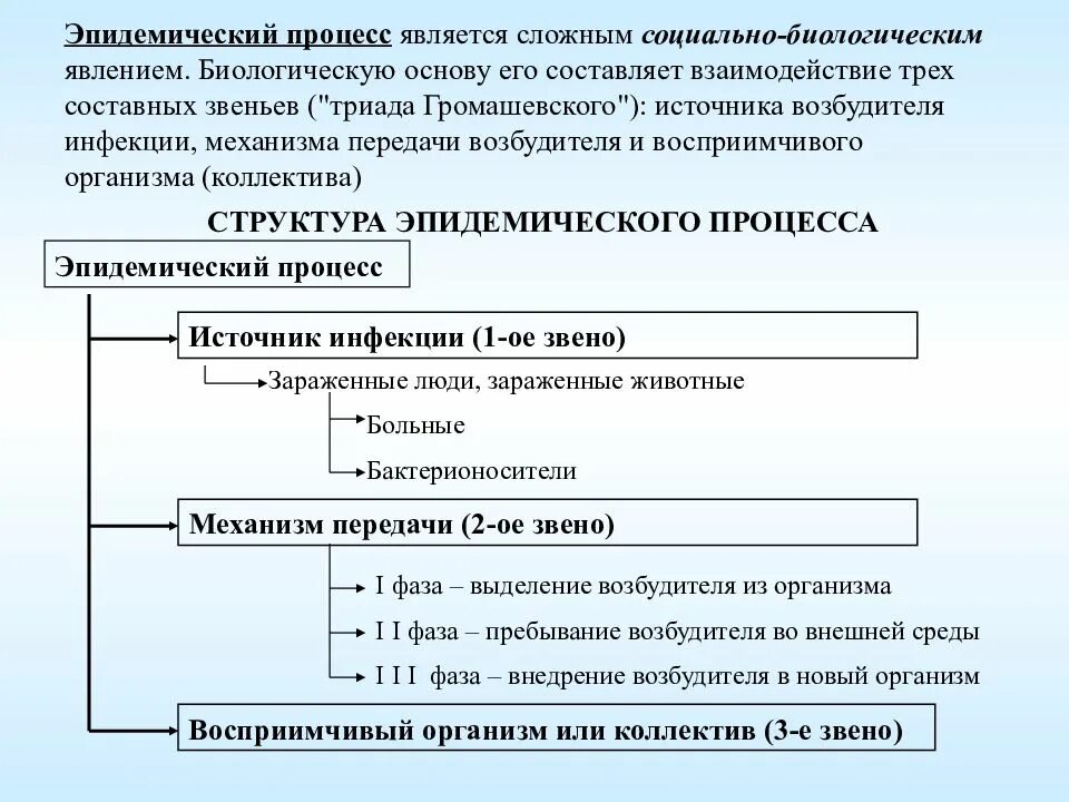 11 делом является