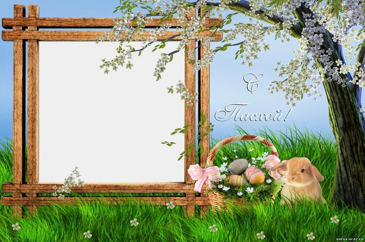 рамки вставить фото природа. рамки для фотошопа природа. пейзаж естественные рамки. рамки вставить фото природа. рамки для фотошопа.