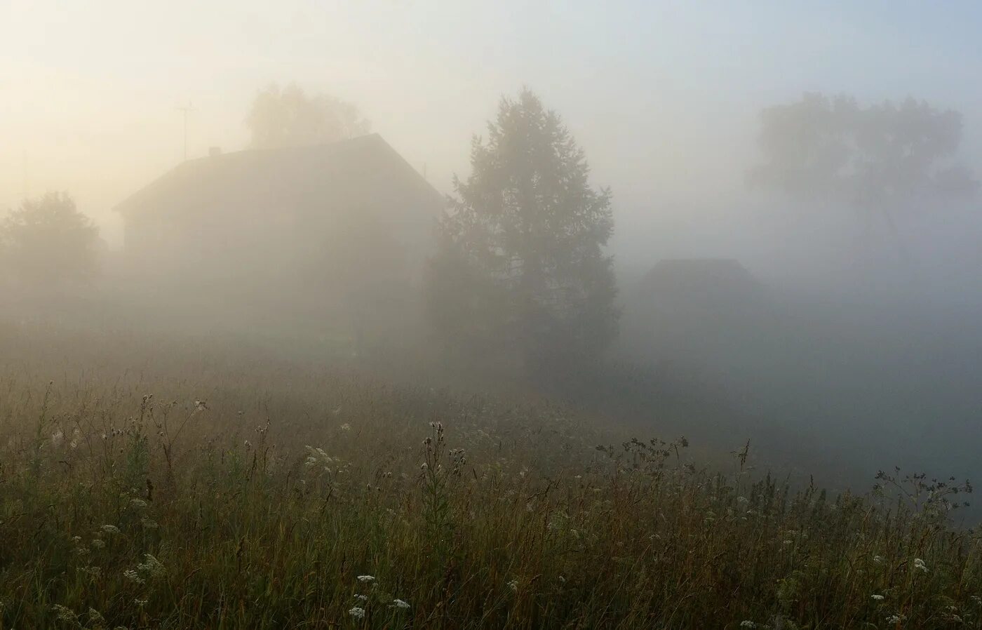 Пелена покрывшая. Деревня в тумане. Утро туман деревня. Рассвет в деревне туман. Русская деревня в тумане.