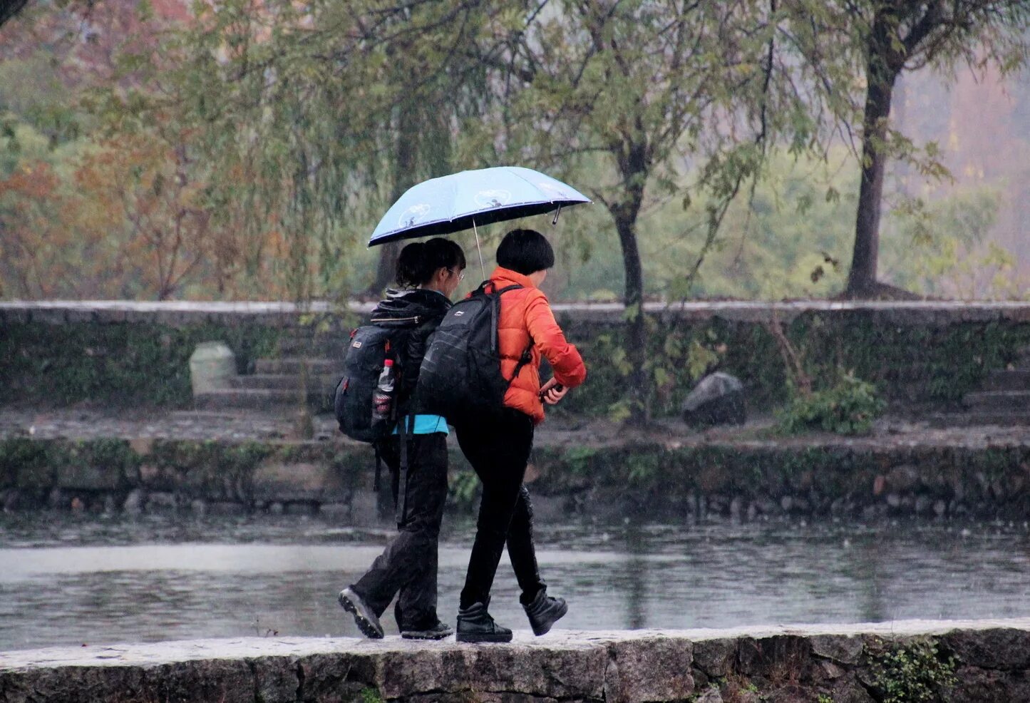 Можно ли гулять в дождь. Гулять под дождем. Прогулка под дождём. Прогулка в дождь. Прогулка в парке под дождем.