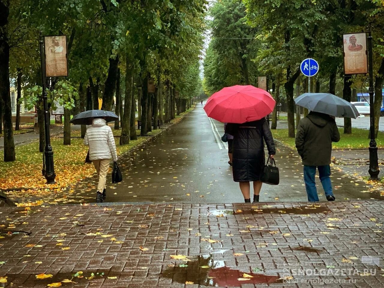 3 дня дождя 4 ноября
