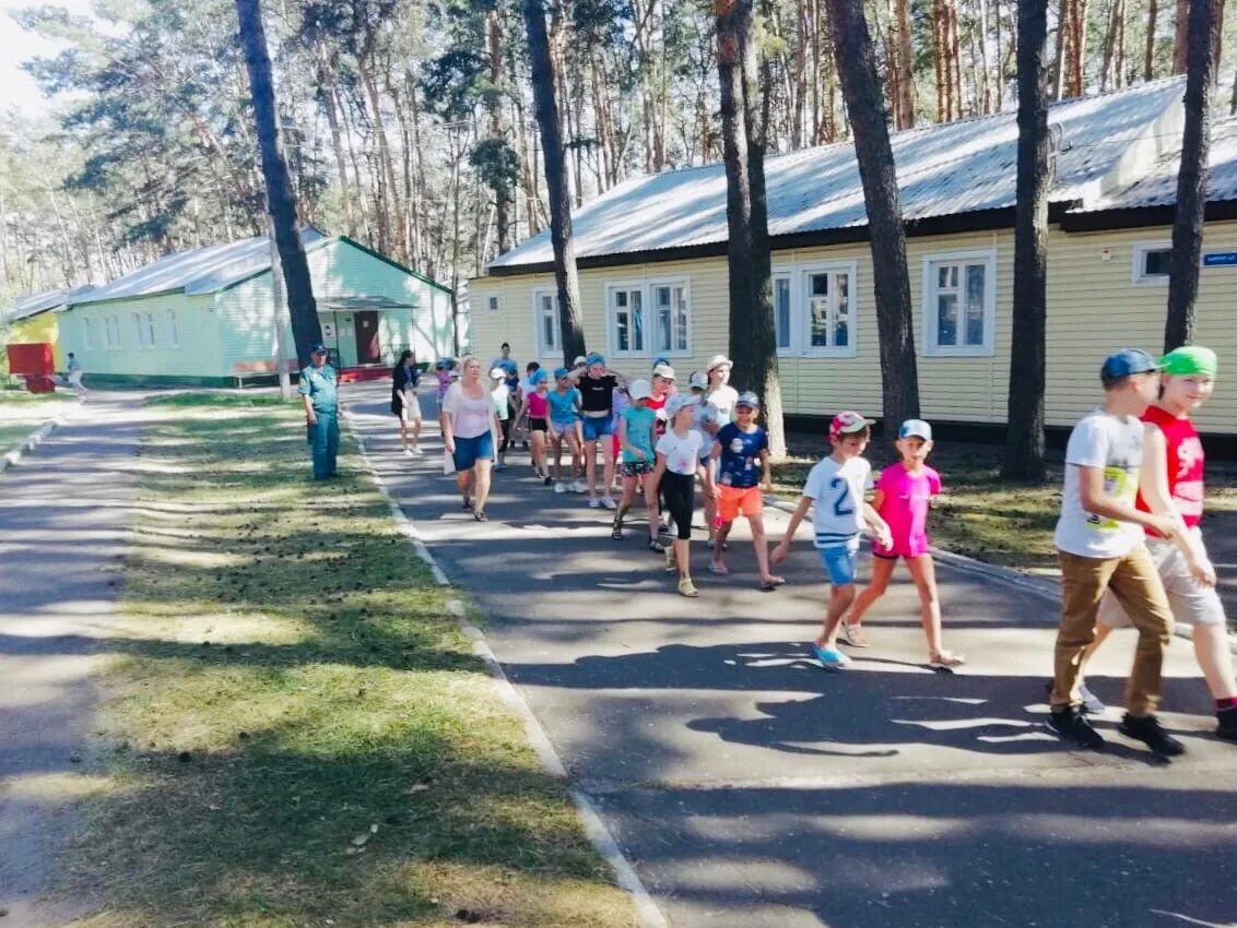 Лагерь орленок работа. Лагерь Орленок Курск. Орлёнок детский лагерь Курск. Орленок Курск лагерь 2022. Лагерь имени Ульяны Громовой Курск.