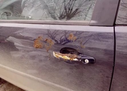 Какает в машине