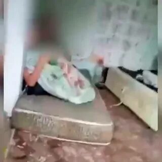 Дети маугли на московском