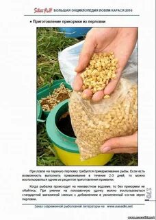 Рецепты для рыбалки на карася
