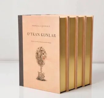 Прошедшие дни книга