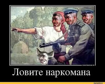 Ловите настоящее