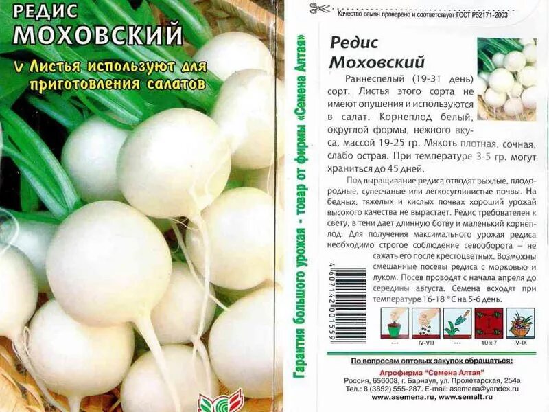 Какие семена редиски. Редис дайкон описание сорта. Сорта редиски для открытого грунта крупноплодные. Редиска семена лучшие сорта для открытого грунта. Редис Моховский белый.