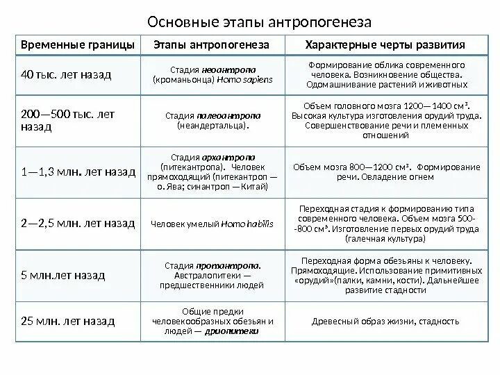 Временные границы этапы антропогенеза характерные черты развития. Этапы развития человека таблица этапы антропогенеза. Таблица этапы антропогенеза временные границы. Характеристика стадий антропогенеза таблица.