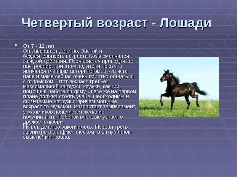 Возраст лошади. Возраст в лошадиных годах. Таблица возраста лошадей. Возрастные периоды лошадей.