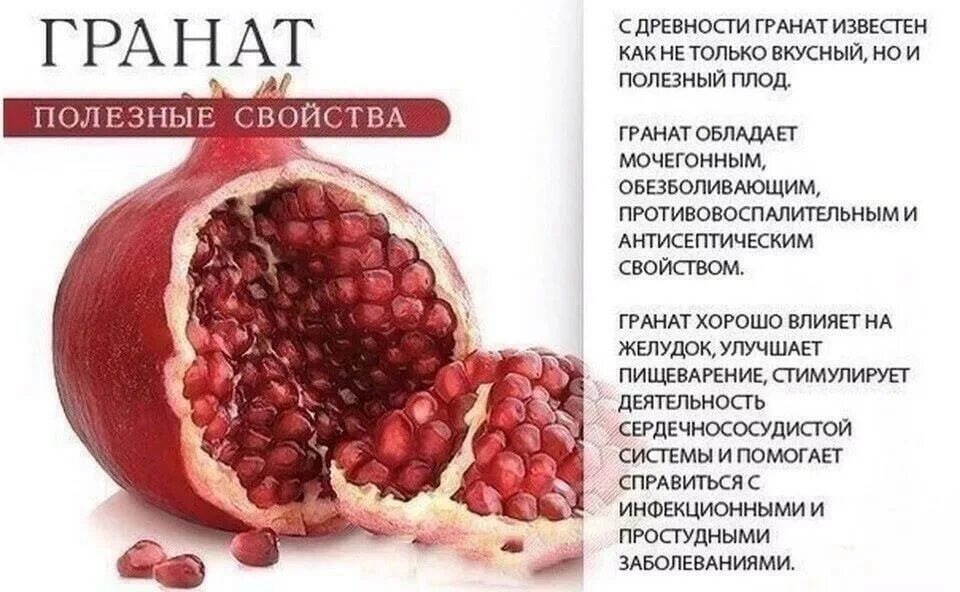 Гранат полезные свойства