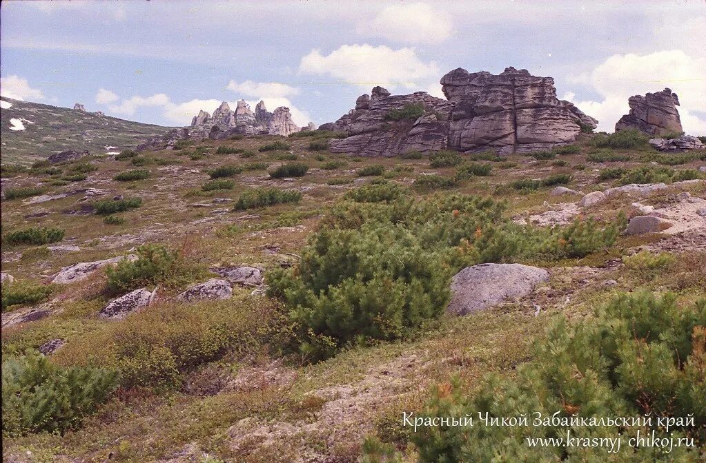 Чикой Забайкальский край. Красный Чикой Забайкальский. Село красный Чикой Забайкальский край. Достопримечательности красного Чикоя Забайкальский край музей. Погода красный чикой забайкальский на неделю