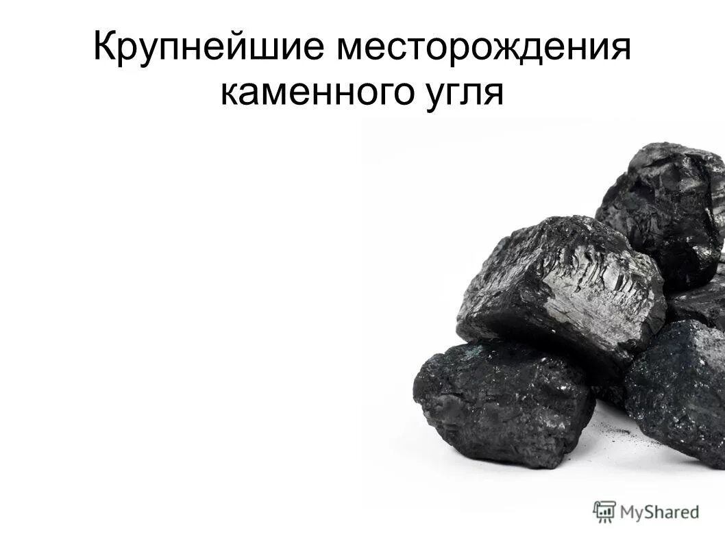 В древности образовали залежи каменного угля. Месторождения каменного угля. Залежи каменного угля. Залежи каменного угля образовались. Крупные производители каменного угля.