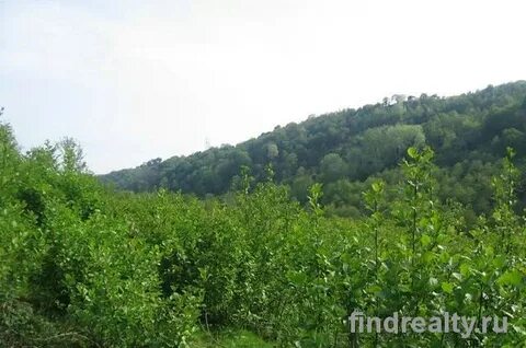 Погода нижняя шиловка адлер
