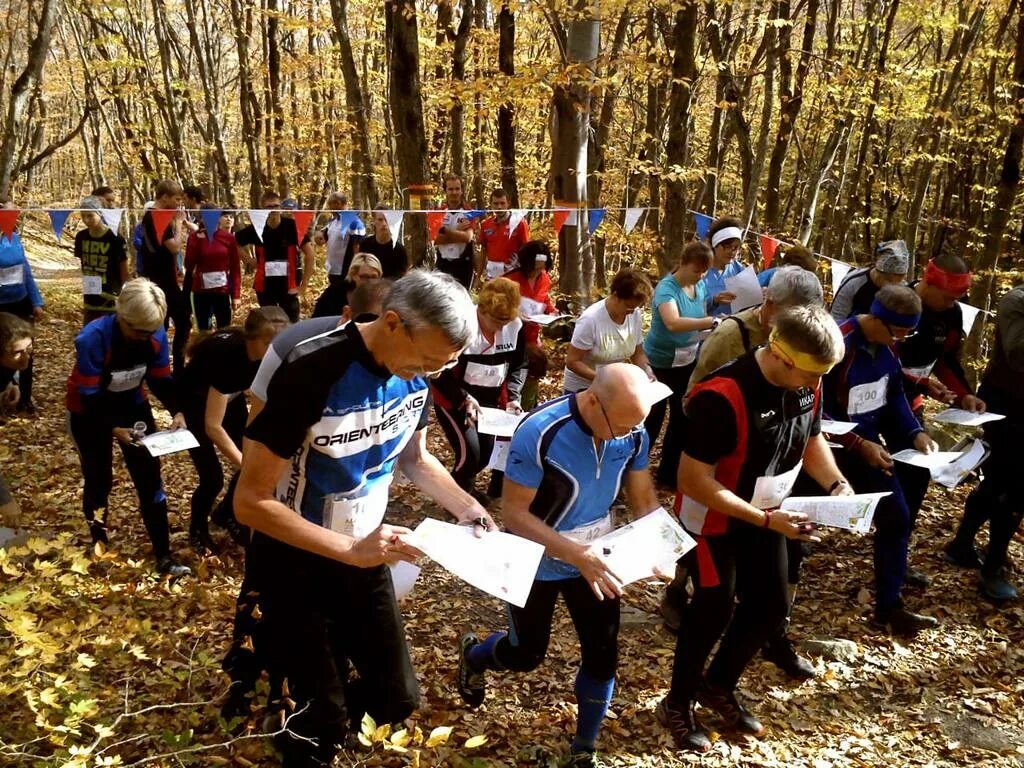 арентирование в ставрополье. спортивное ориентирование ставропольский край. спортивное ориентирование ставропольский край. ориентирование в ставропольском крае. школа мчс в ставропольском крае.