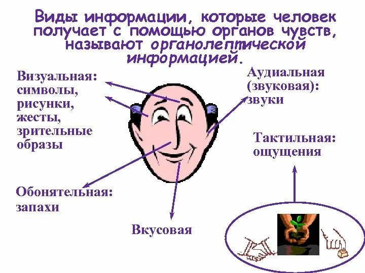 Органы чувств воспринимают информацию. Виды информации. Органы восприятия человека. Органы чувств информация. Информация которую человек получает с помощью органов чувств.