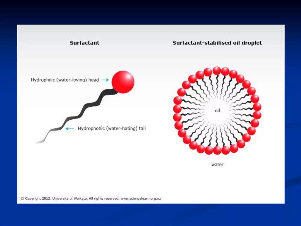 Сульфактант. Surfactant. Сурфактант пав. Сурфактант строение. Биосурфактанты микроорганизмов.