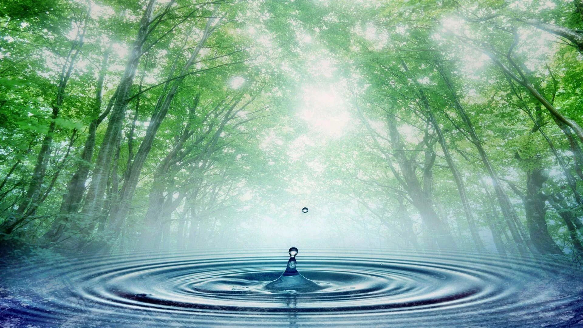 Вода в природе. Гармония природы. Релаксация природа. Вода источник жизни. Стих свежесть