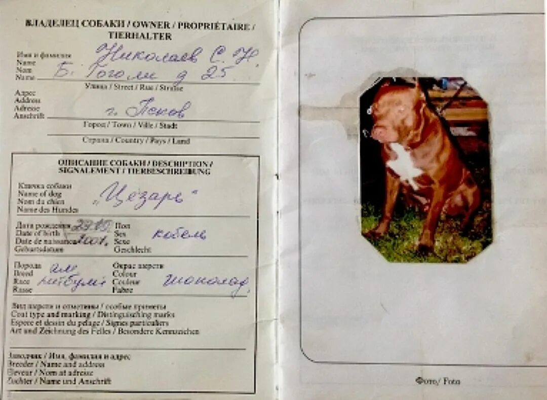 Собачье отчество