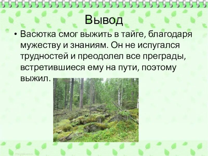 Вывод Васютки. Сочинение как выжить в тайге 5 класс. Выжил Васютка. Как вести себя в тайге васюткино озеро