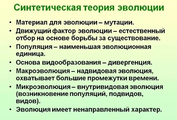 Синтетическая теория эволюции. Синтетическая теория э. Положения современной синтетической теории эволюции. Становление синтетической теории эволюции.