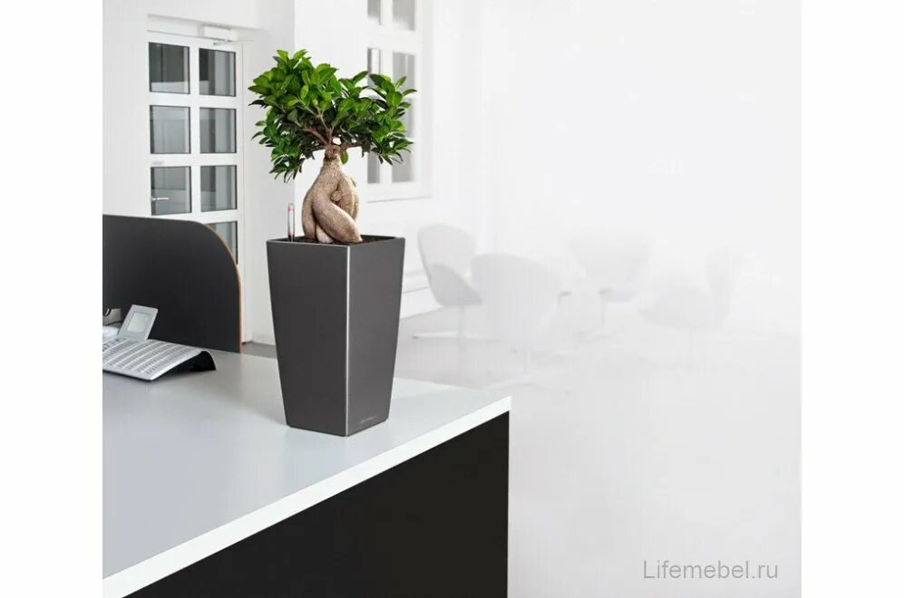 Lechuza cubico color. Кашпо lechuza кубико 40. lechuza cubico, кофе металлик 40. лечуза кубико черный. кашпо лечуза дивайдер.
