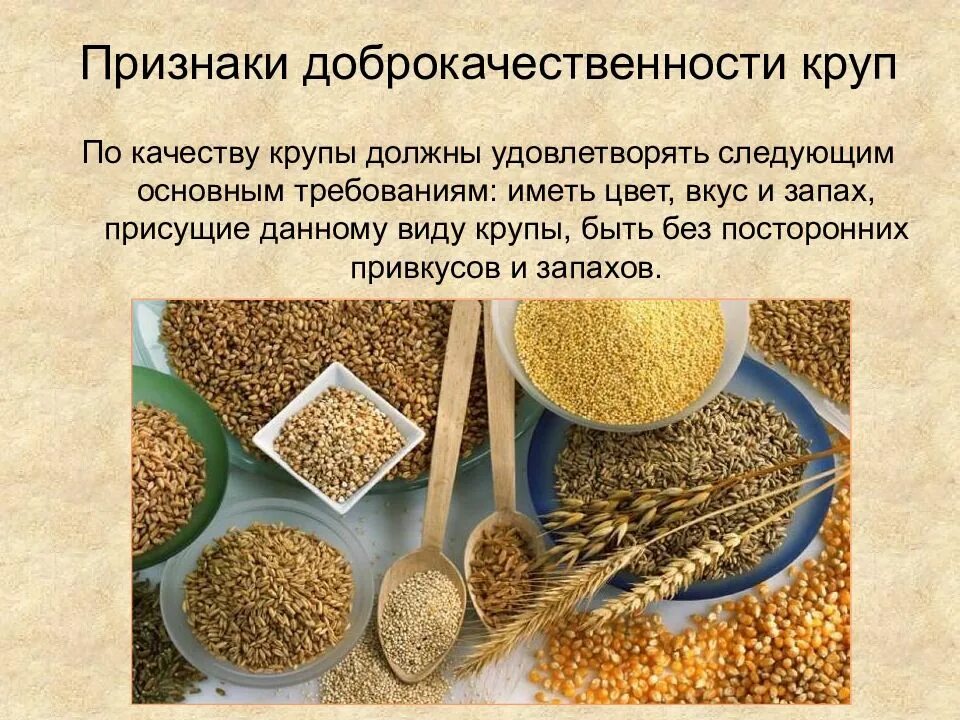 Вид крупы определяется. Показатели качества круп. крупы из зерновых культур. доброкачественные крупы. показатели качества крупы.