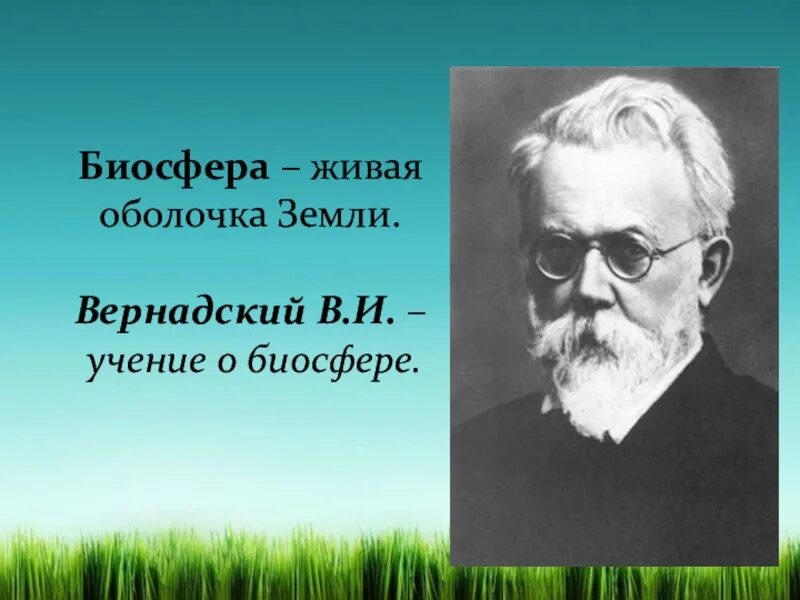 Учение о живой оболочке создал