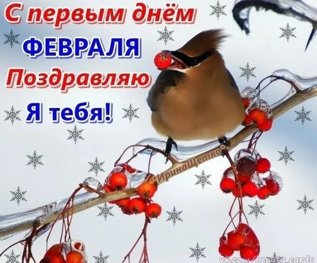 Доброе утро начало февраля. С первым февраля открытки. Открытки с 1 февраля. С первым днем февраля. Открытки с первым февральским днем.
