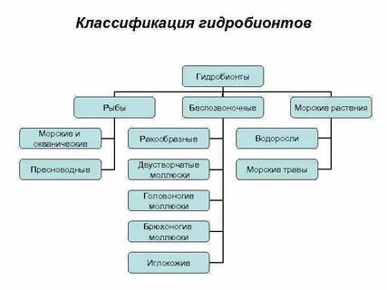 Беспозвоночные животные таблица