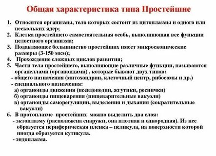 Общая характеристика простейших кратко