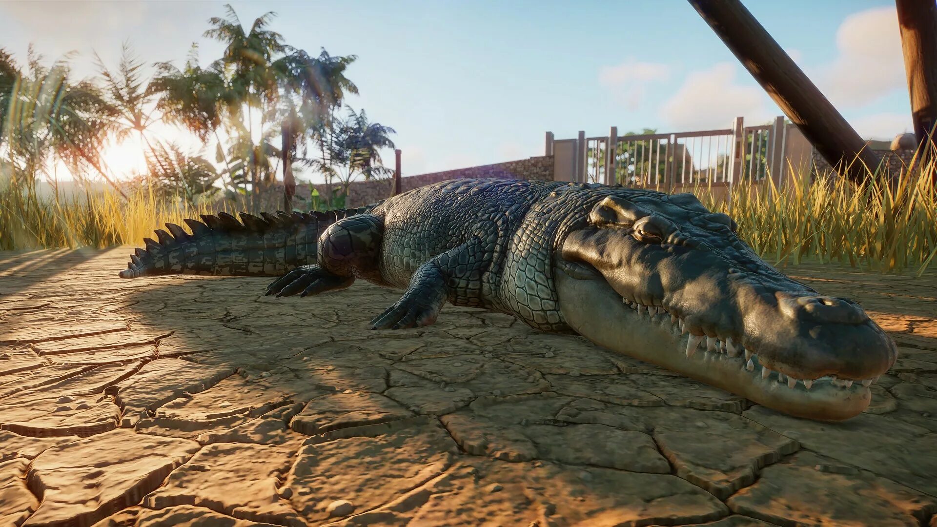 Планет зу. Планета zoo игра. planet zoo: deluxe edition. planet zoo 2. planet zoo 2019.