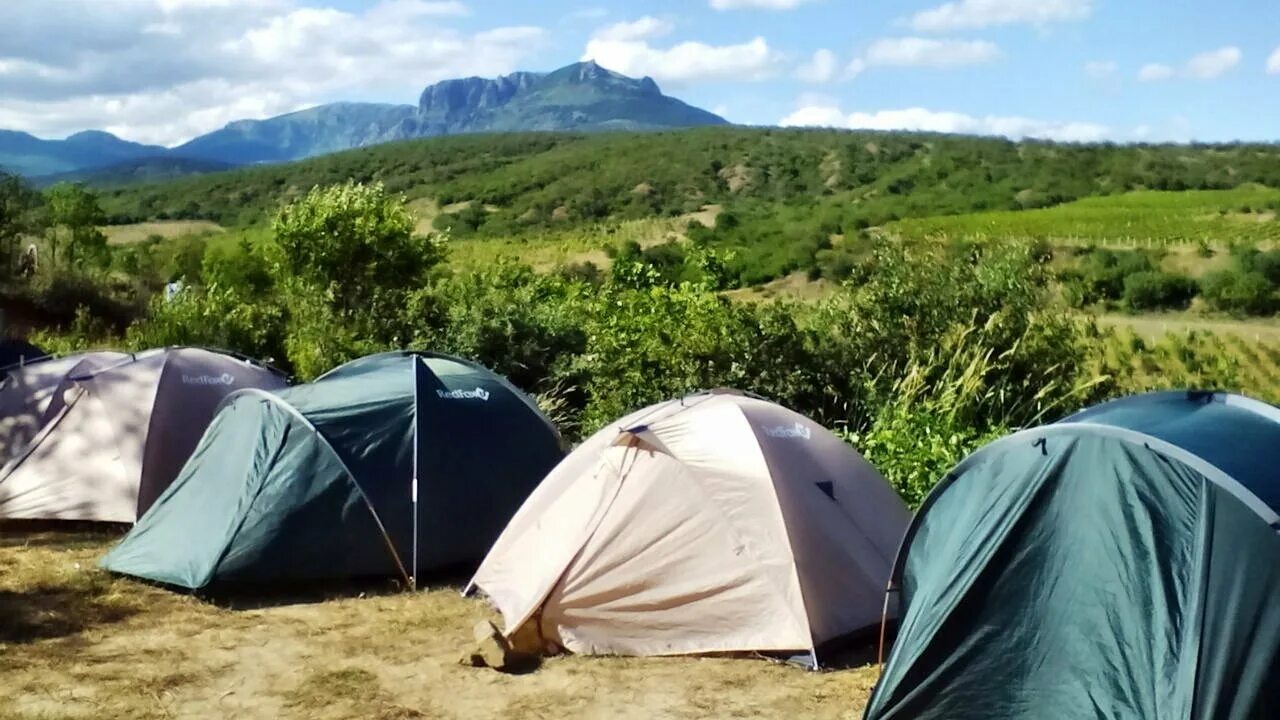 автокемпинг сосновая роща. палатка в лесу. глэмпинг лаго наки. палатка ronin camp. отдых с палатками кемпинг.