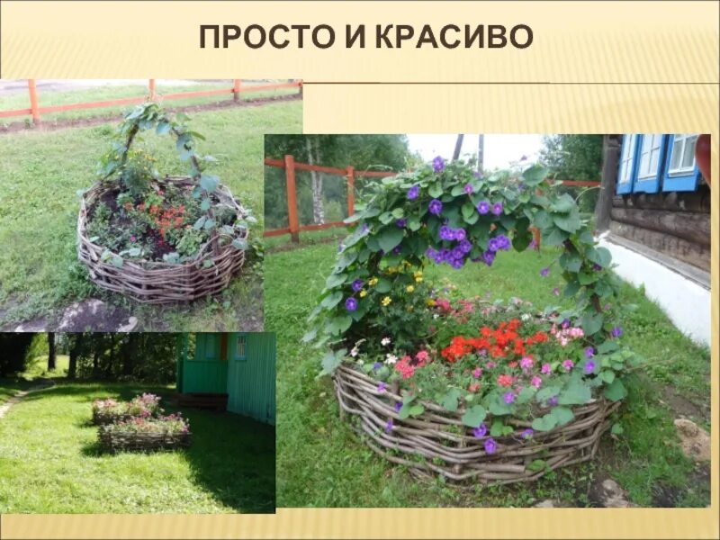 Сад. Цветы - презентация онлайн