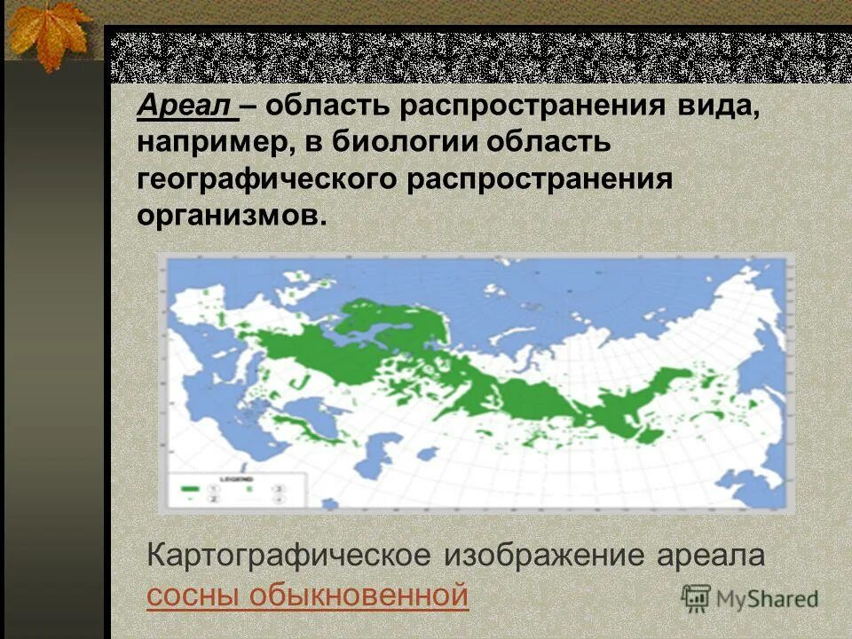 Виды распространения. Ареал. Виды ареалов. Риал. Ареа 2.