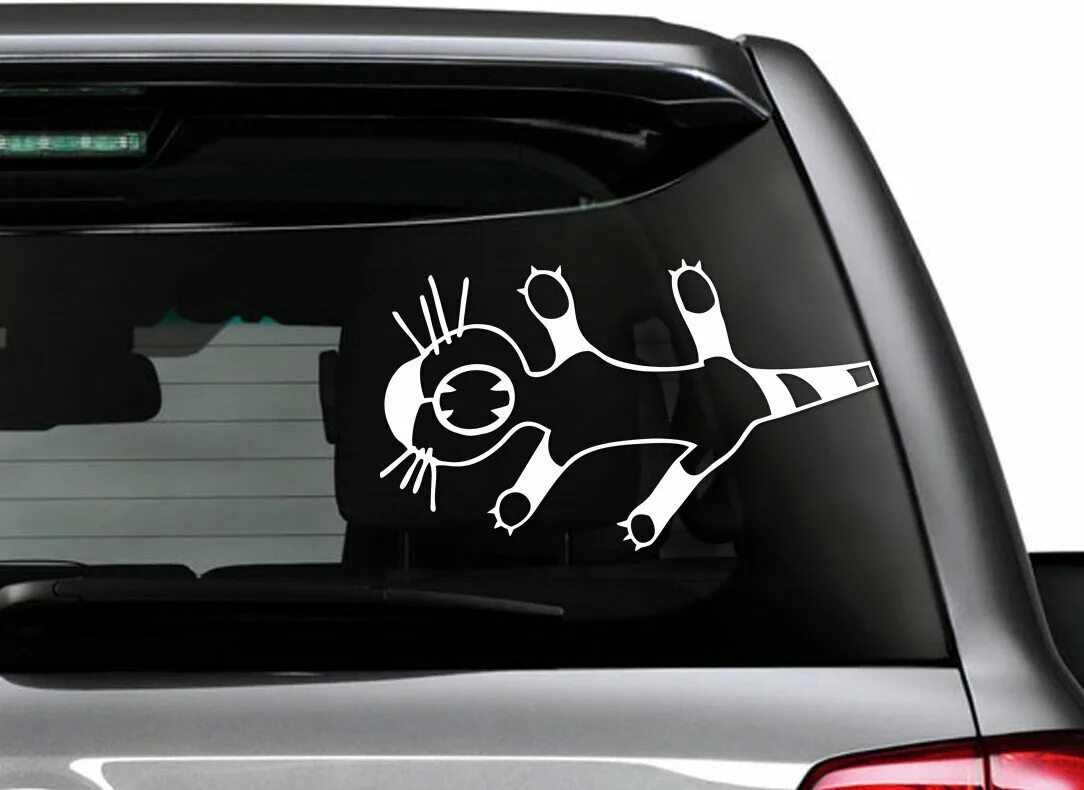 Наклейки на кузов автомобиля. Наклейка на машину кот. Наклейки на авто с котами. Расположение наклеек на авто. Расположение наклеек