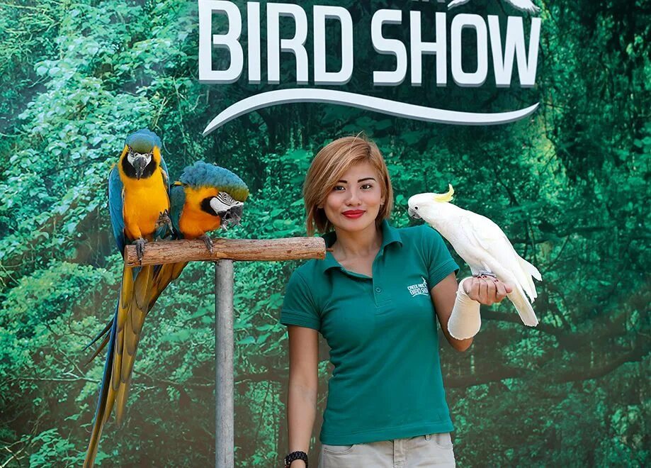 Dubai Bird show. Лоло Экзотик Бердс. Dubai Birds Pet Market.