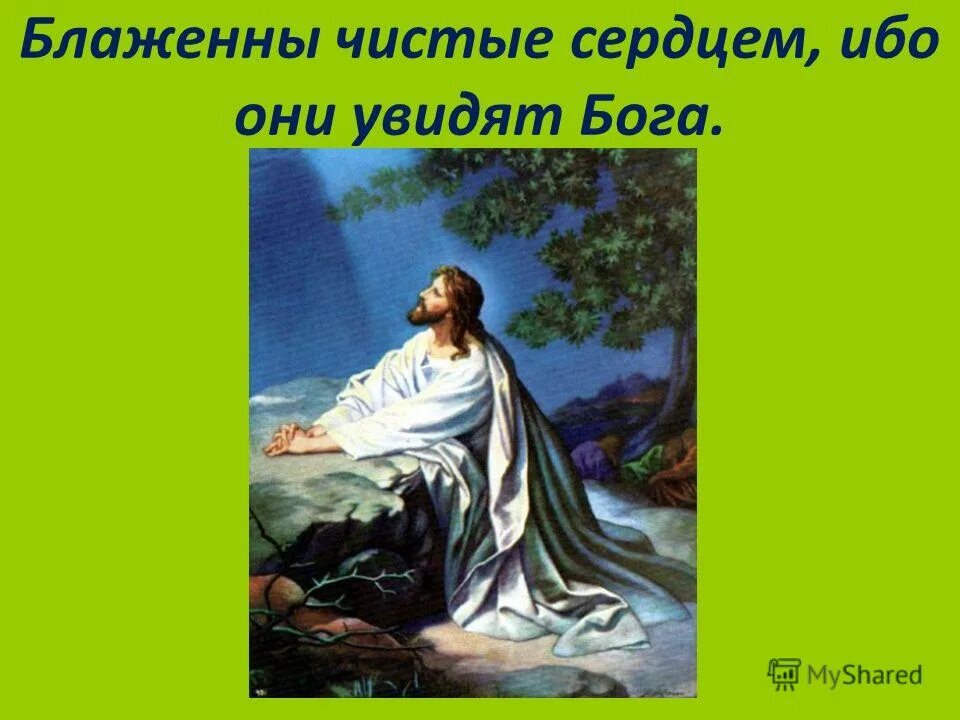Чистое сердце благотворительный фонд лого. Что такое чистое сердце. Чистое сердце картинки. Чистое сердце. Что такое чистое сердце.